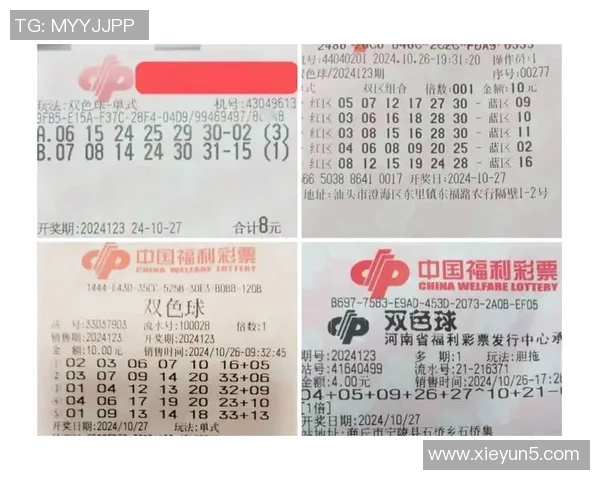 双色球与篮球的完美结合探讨如何提升购彩体验与赛事观赏乐趣